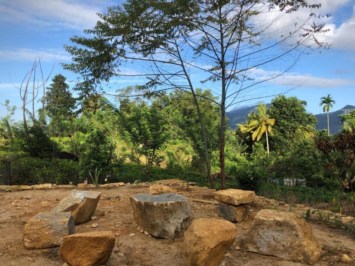 Palabaddala Tea And Eco Lodge Ratnapura Dış mekan fotoğraf
