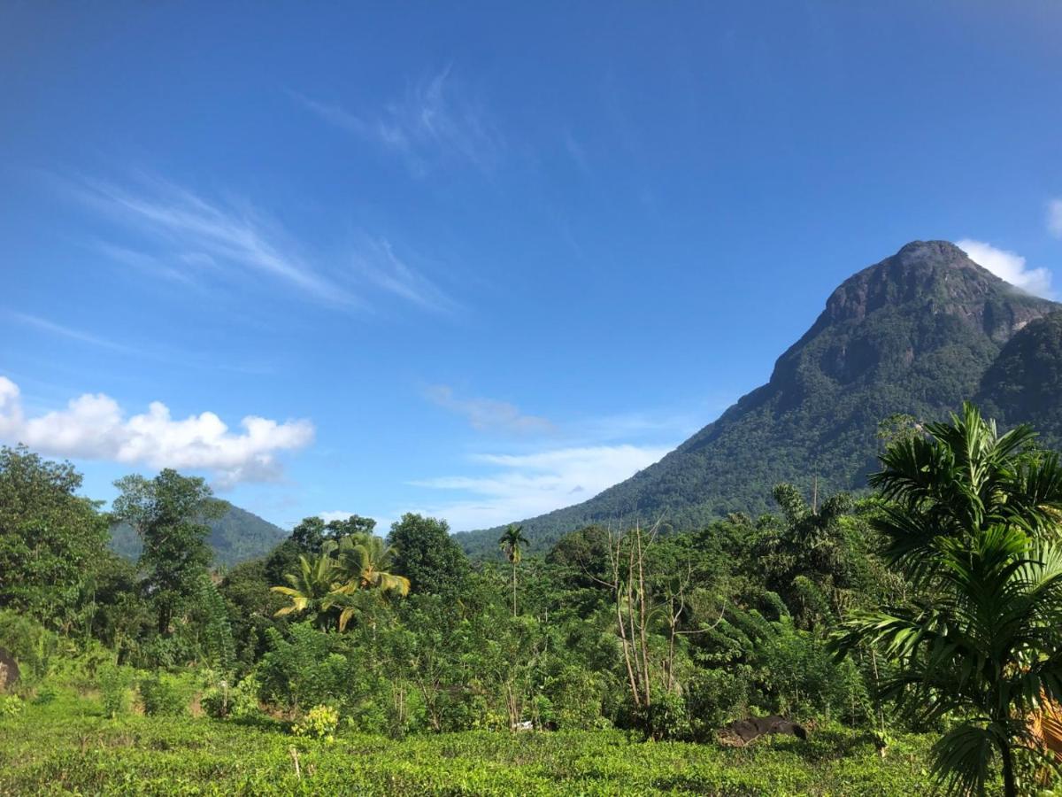 Palabaddala Tea And Eco Lodge Ratnapura Dış mekan fotoğraf