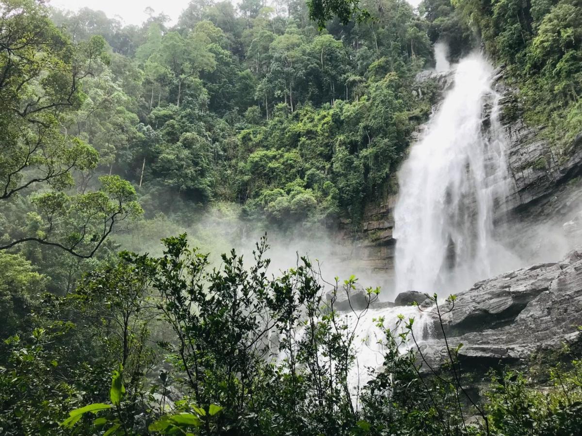 Palabaddala Tea And Eco Lodge Ratnapura Dış mekan fotoğraf
