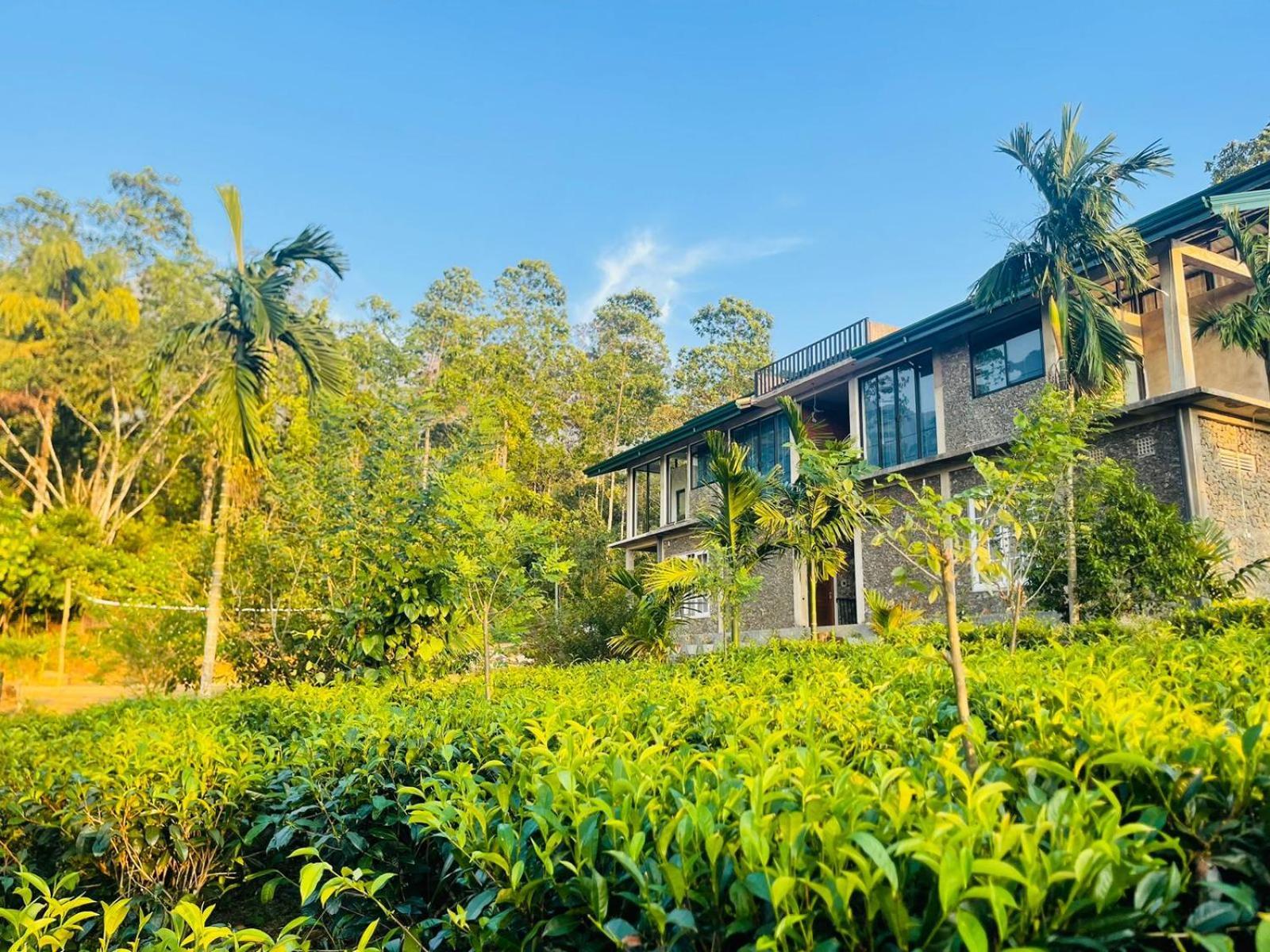 Palabaddala Tea And Eco Lodge Ratnapura Dış mekan fotoğraf