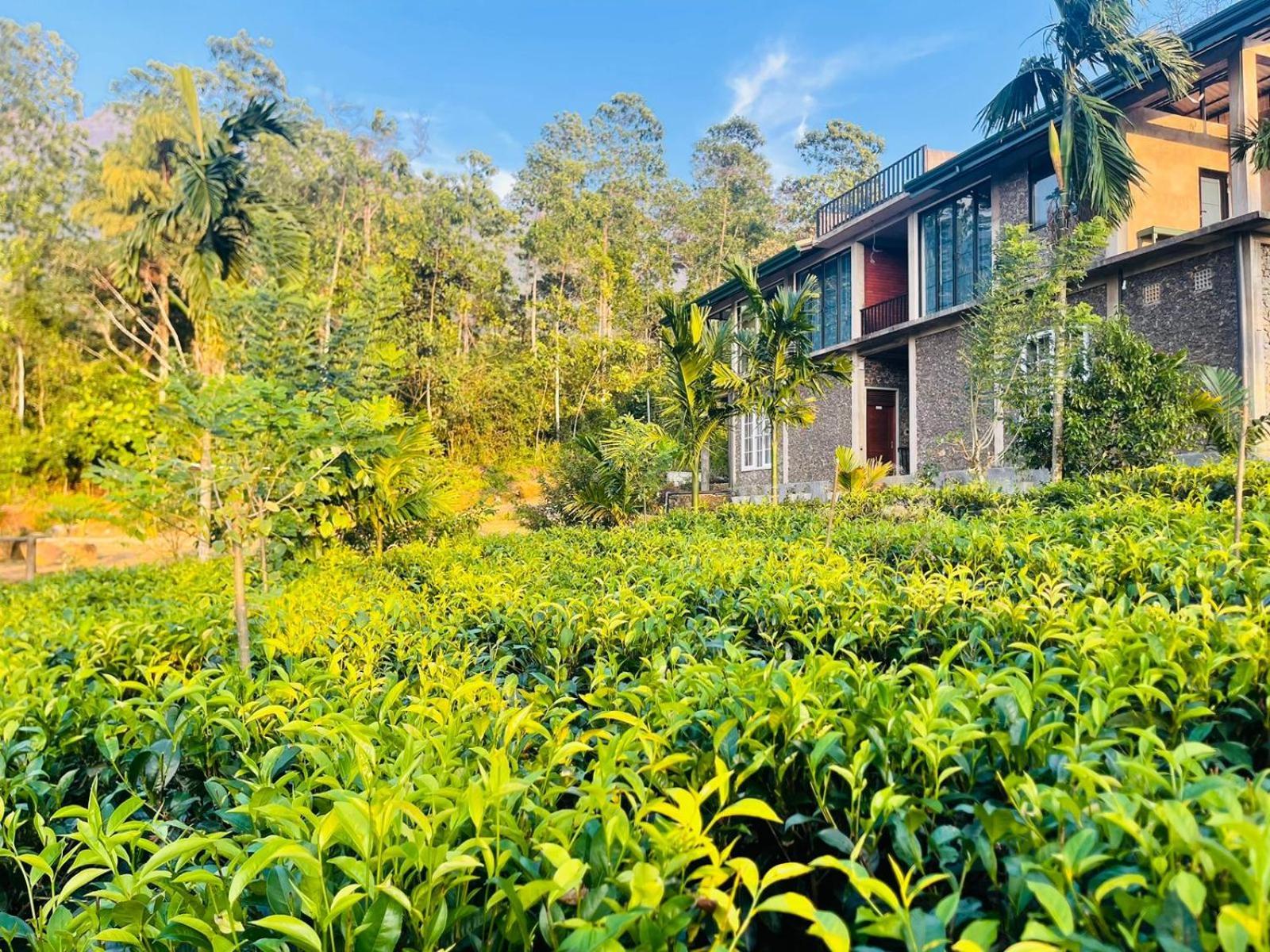 Palabaddala Tea And Eco Lodge Ratnapura Dış mekan fotoğraf