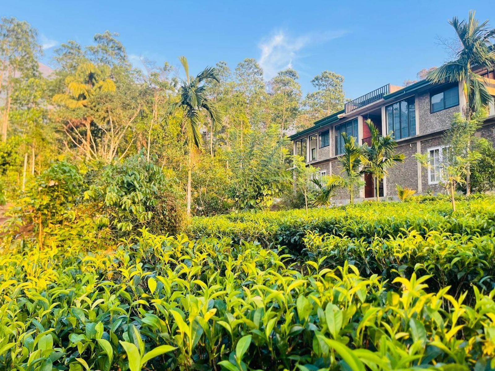 Palabaddala Tea And Eco Lodge Ratnapura Dış mekan fotoğraf
