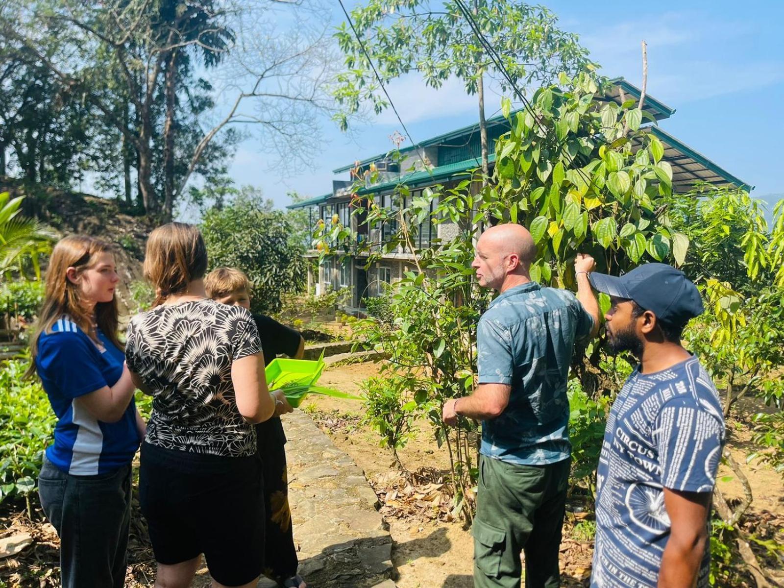 Palabaddala Tea And Eco Lodge Ratnapura Dış mekan fotoğraf