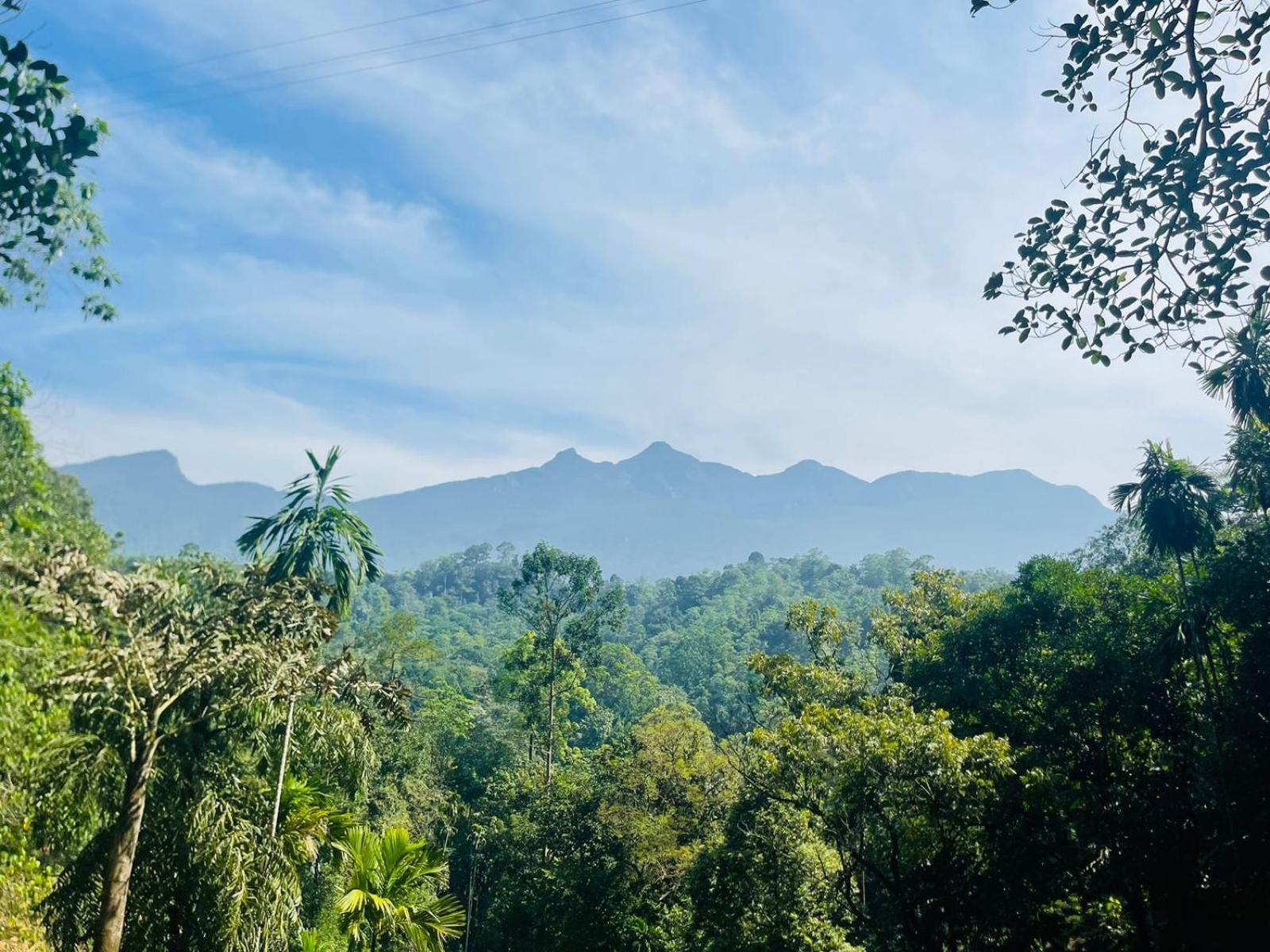Palabaddala Tea And Eco Lodge Ratnapura Dış mekan fotoğraf