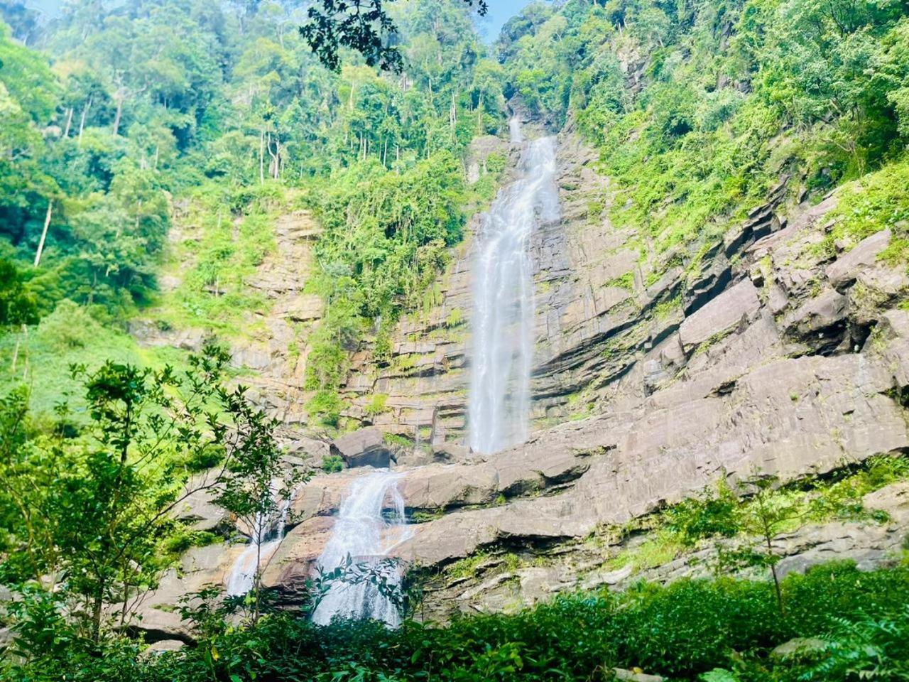 Palabaddala Tea And Eco Lodge Ratnapura Dış mekan fotoğraf
