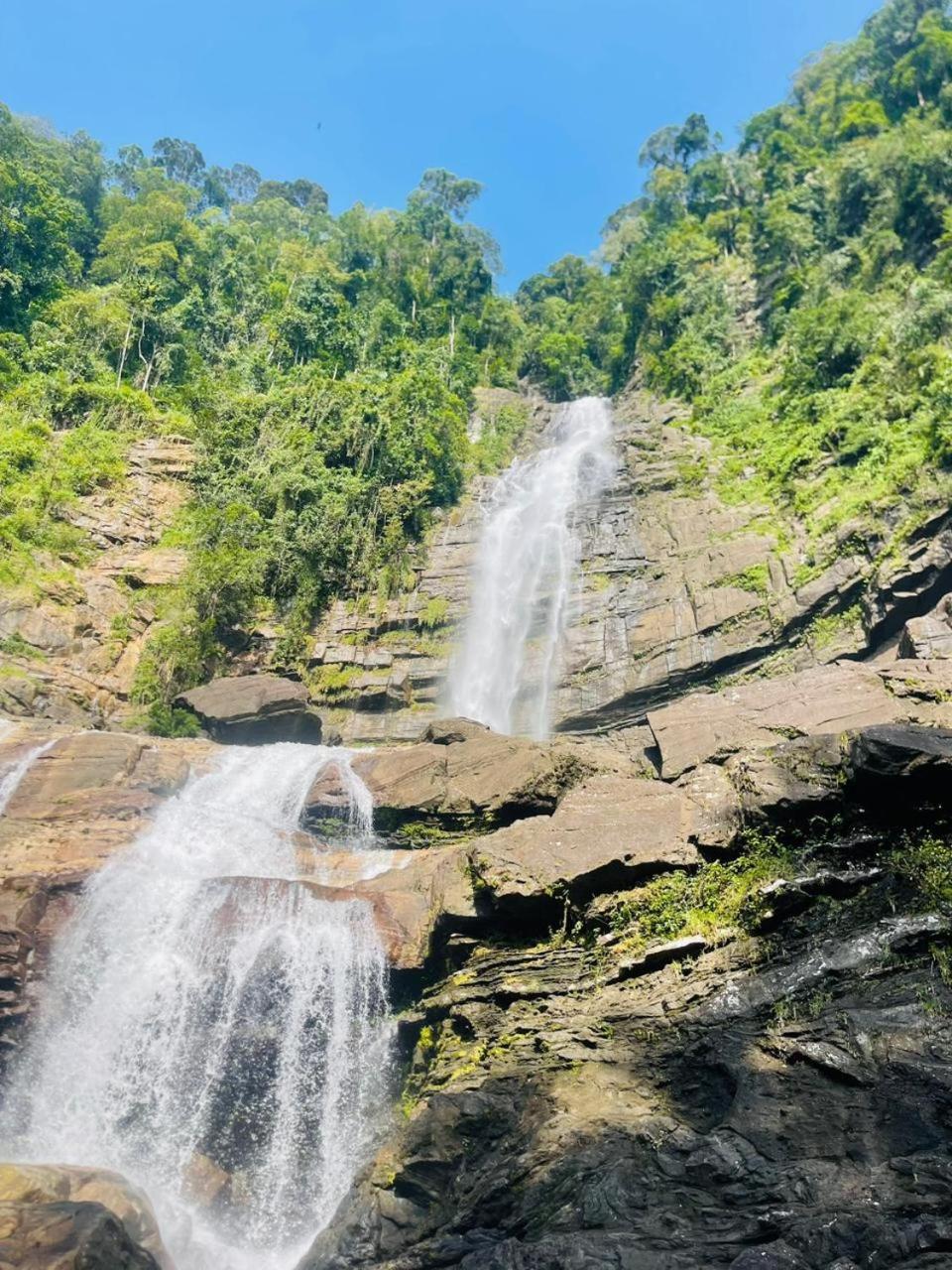 Palabaddala Tea And Eco Lodge Ratnapura Dış mekan fotoğraf
