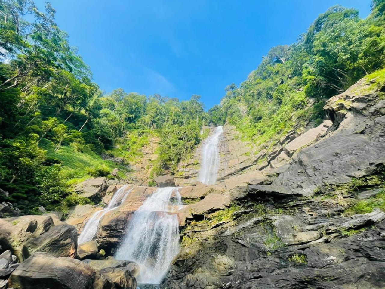 Palabaddala Tea And Eco Lodge Ratnapura Dış mekan fotoğraf