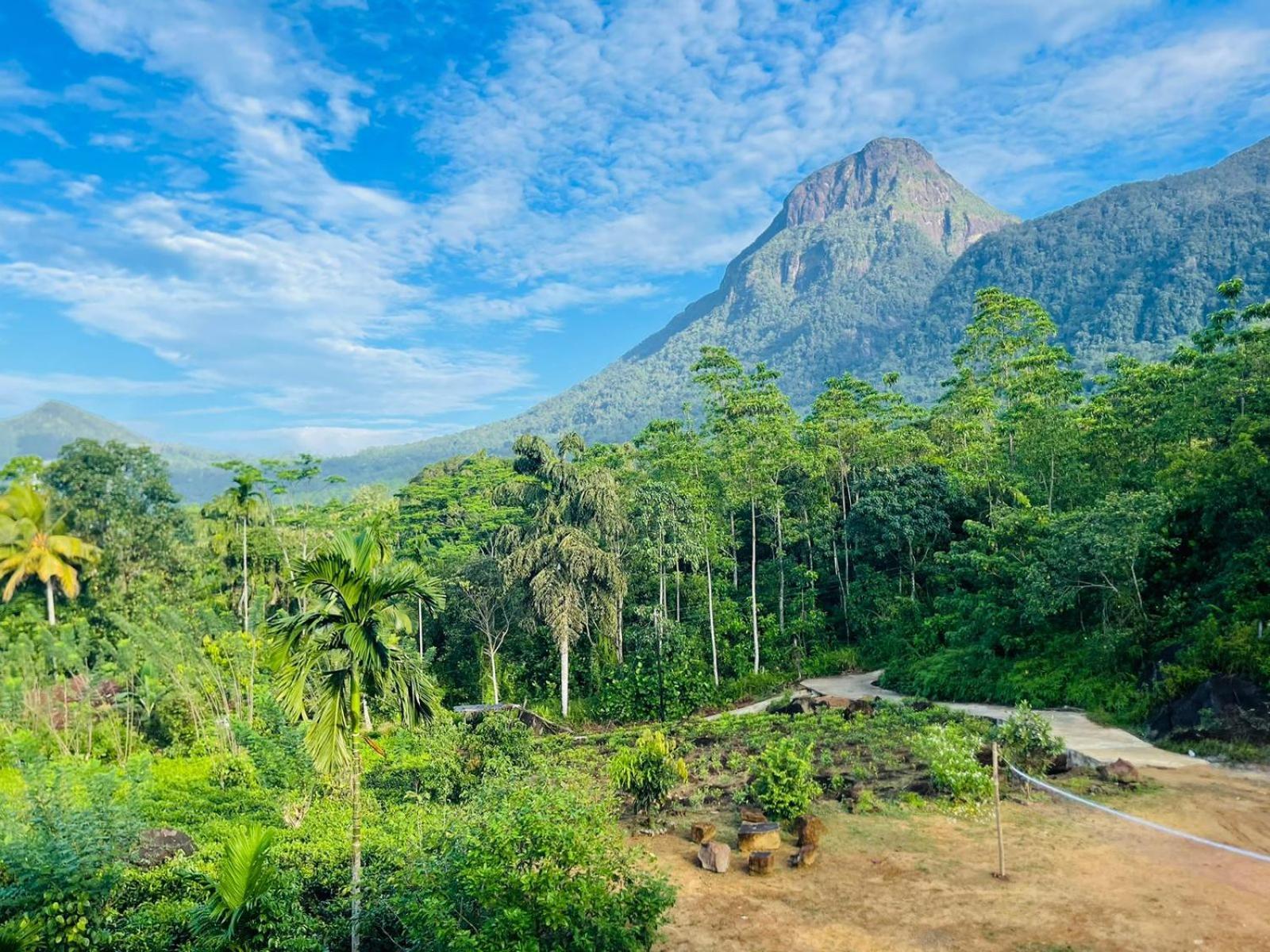 Palabaddala Tea And Eco Lodge Ratnapura Dış mekan fotoğraf
